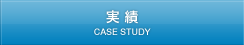 実績 | CASE STUDY