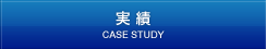 実績｜CASE STUDY